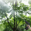 300W Cordless High Pressure Cleaning Gun